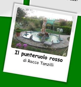 Il punteruolo rosso  di Rocco Tanzilli