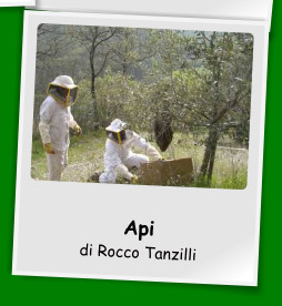 Api di Rocco Tanzilli