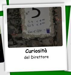 Curiosit del Direttore