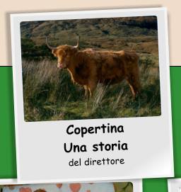 Copertina Una storia del direttore